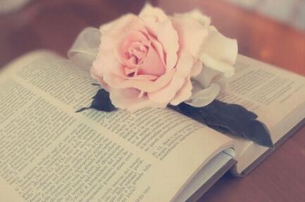 雅思学习经验:影响雅思成绩的5大因素权威分析