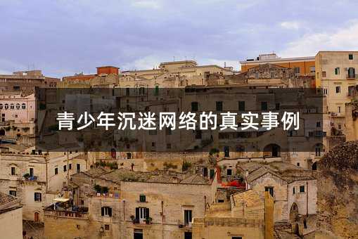 青少年沉迷网络的真实事例