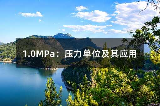 1.0MPa:压力单位及其应用