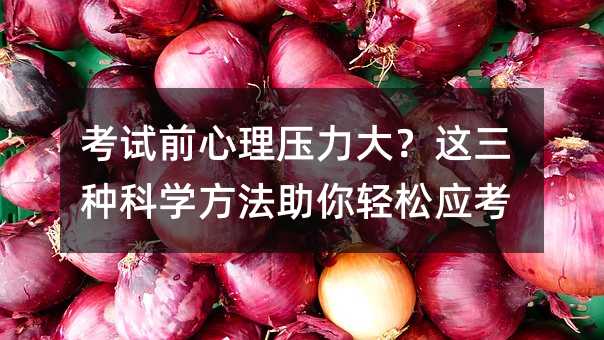 考试前心理压力大?这三种科学方法助你轻松应考
