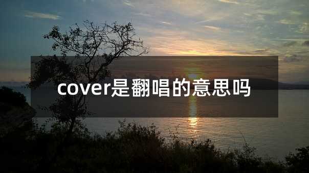 cover是翻唱的意思吗
