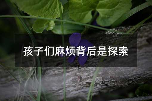 孩子们麻烦背后是探索