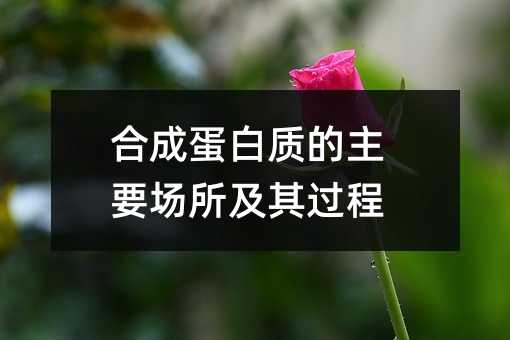 合成蛋白质的主要场所及其过程