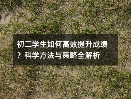 初二学生如何高效提升成绩?科学方法与策略全解析