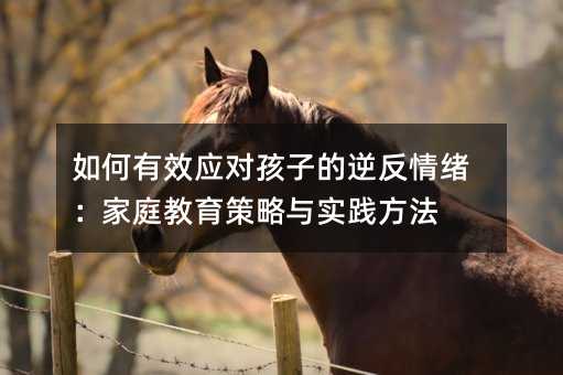 如何有效应对孩子的逆反情绪:家庭教育策略与实践方法