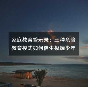 家庭教育警示录:三种危险教育模式如何催生极端少年