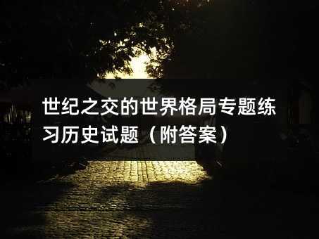 世纪之交的世界格局专题练习历史试题(附答案)