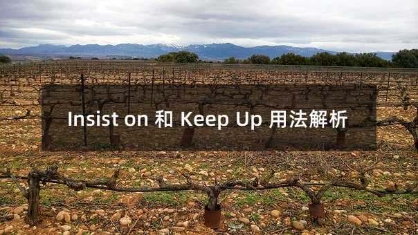 Insist on 和 Keep Up 用法解析