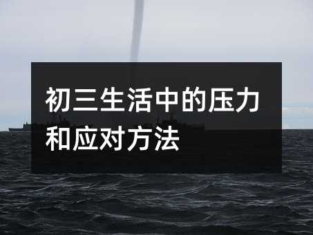 ���������е�ѹ����Ӧ�Է���