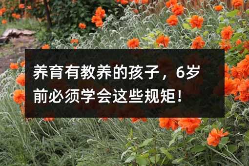 养育有教养的孩子,6岁前必须学会这些规矩!