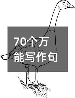 70个万能写作句型