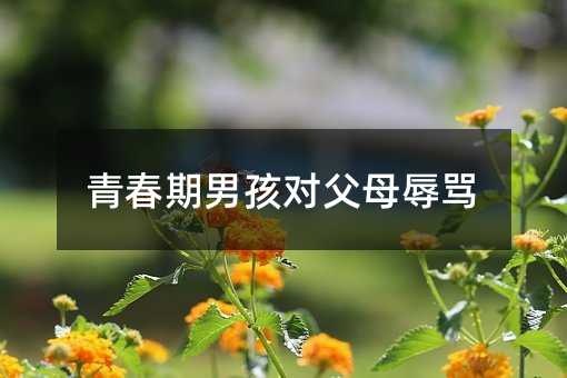 青春期男孩对父母辱骂