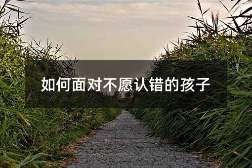 如何面对不愿认错的孩子
