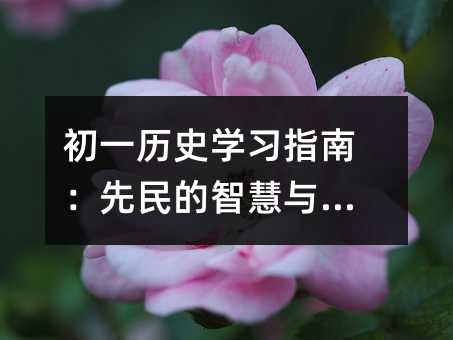 初一历史学习指南:先民的智慧与创造