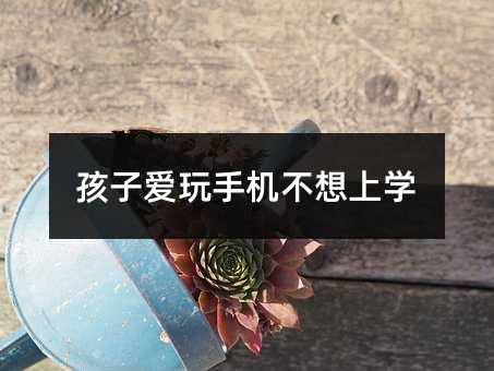 孩子爱玩手机不想上学