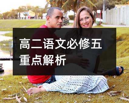 高二语文必修五重点解析