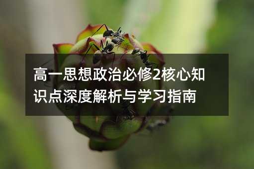 高一思想政治必修2核心知识点深度解析与学习指南