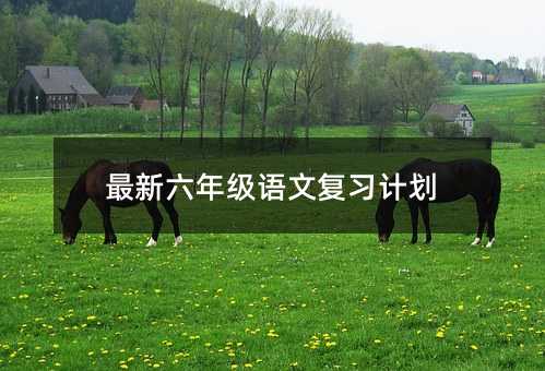 最新六年级语文复习计划