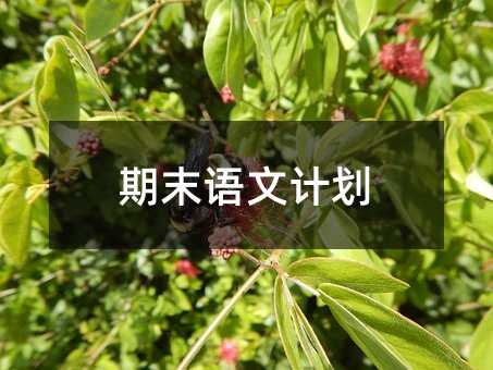 期末语文计划