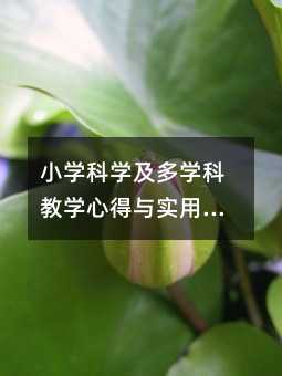 小学科学及多学科教学心得与实用学习策略分享