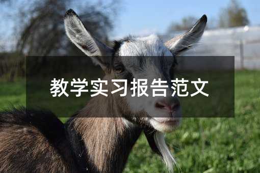 教学实习报告范文