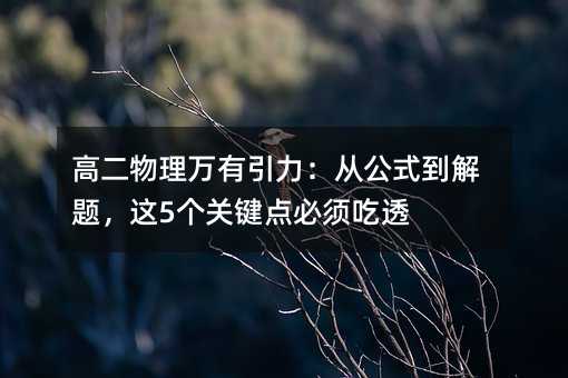 �߶����������������ӹ�ʽ�����⣬��5���ؼ�������͸