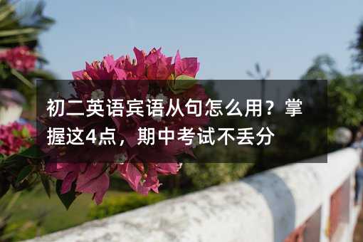 初二英语宾语从句怎么用?掌握这4点,期中考试不丢分