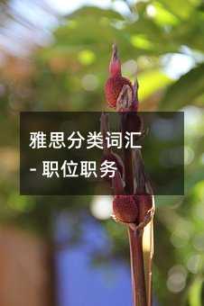 雅思分类词汇 - 职位职务