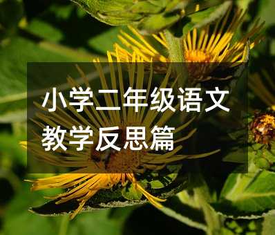 小学二年级语文教学反思篇