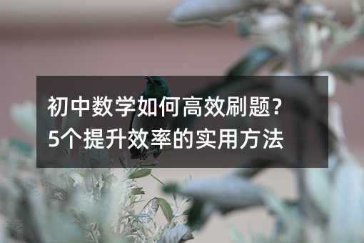 初中数学如何高效刷题?5个提升效率的实用方法
