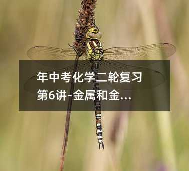 年中考化学二轮复习第6讲-金属和金属材料