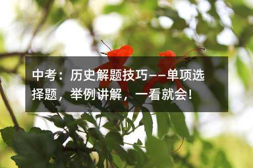 пʷ⼼ɡѡ⣬⣬һͻᣡ