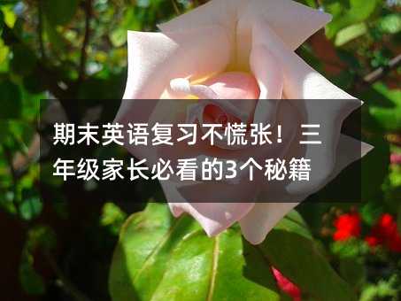 ĩӢ︴ϰţ꼶ҳؿ3ؼ