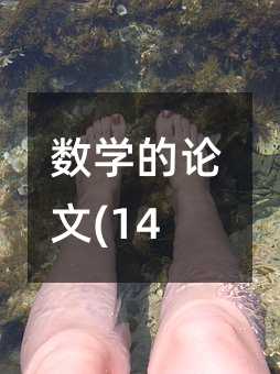 数学的论文(14)