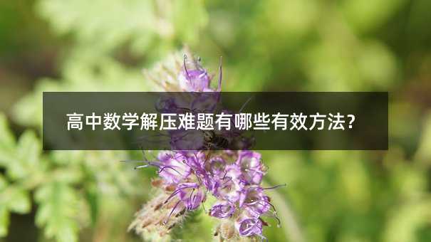 高中数学解压难题有哪些有效方法?