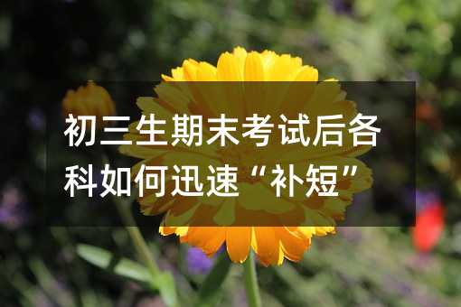 初三生期末考试后各科如何迅速“补短”