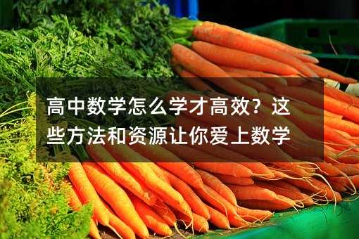 高中数学怎么学才高效?这些方法和资源让你爱上数学