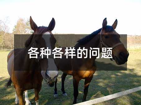 各种各样的问题