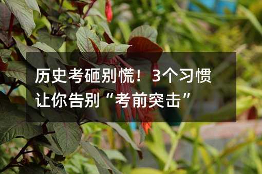 历史考砸别慌!3个习惯让你告别“考前突击”