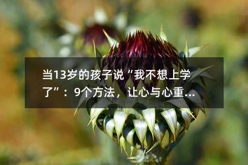 当13岁的孩子说“我不想上学了”:9个方法,让心与心重新靠近