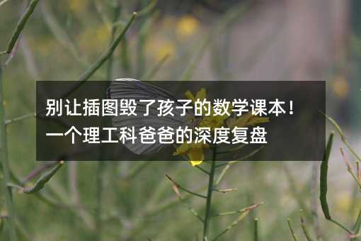 别让插图毁了孩子的数学课本!一个理工科爸爸的深度复盘