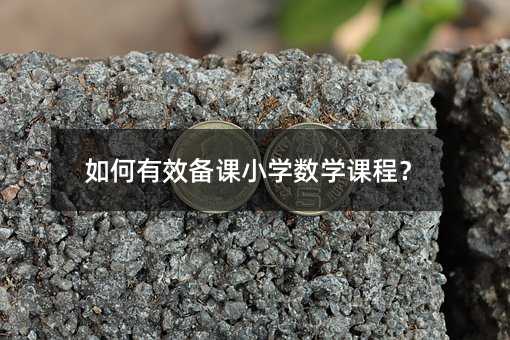 �����Ч����Сѧ��ѧ�γ̣�