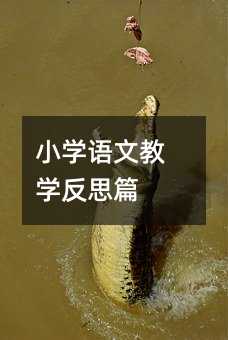 Сѧ���Ľ�ѧ��˼ƪ