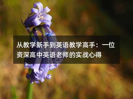 从教学新手到英语教学高手:一位资深高中英语老师的实战心得