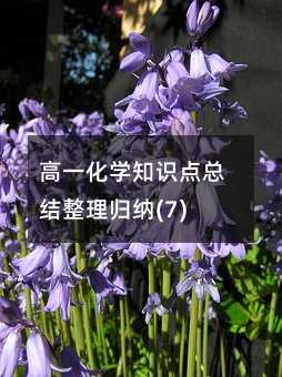 高一化学知识点总结整理归纳(7)