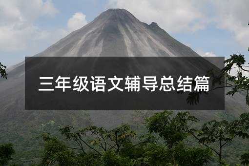 三年级语文辅导总结篇