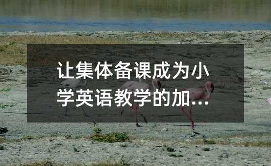 让集体备课成为小学英语教学的加速器