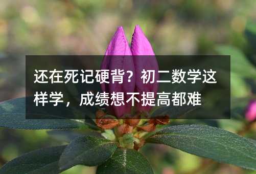 还在死记硬背?初二数学这样学,成绩想不提高都难