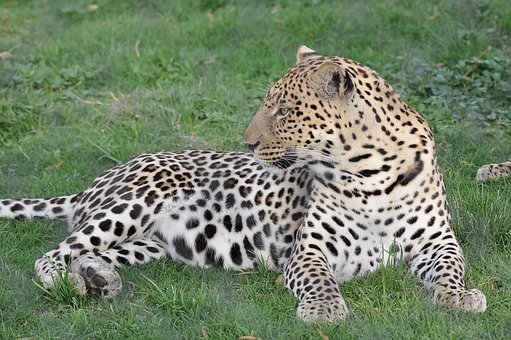 ���᣺�������������ѧУ ���Ӹ�ѡ��һ����