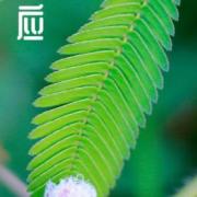 五年级学科辅导